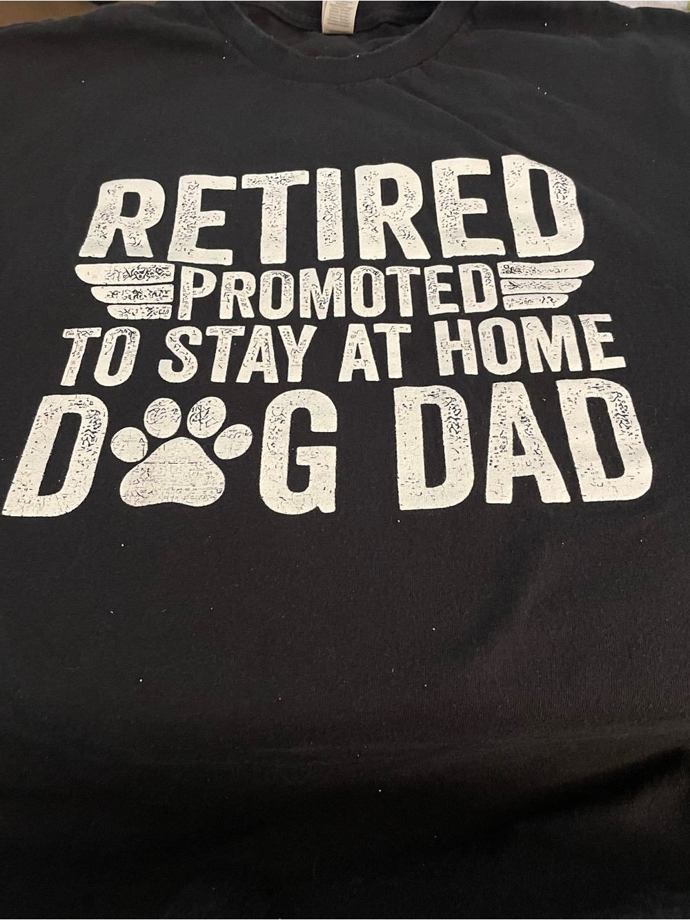 Retired Promoted to Stay at Home Dog Dad T-Shirt - Black
